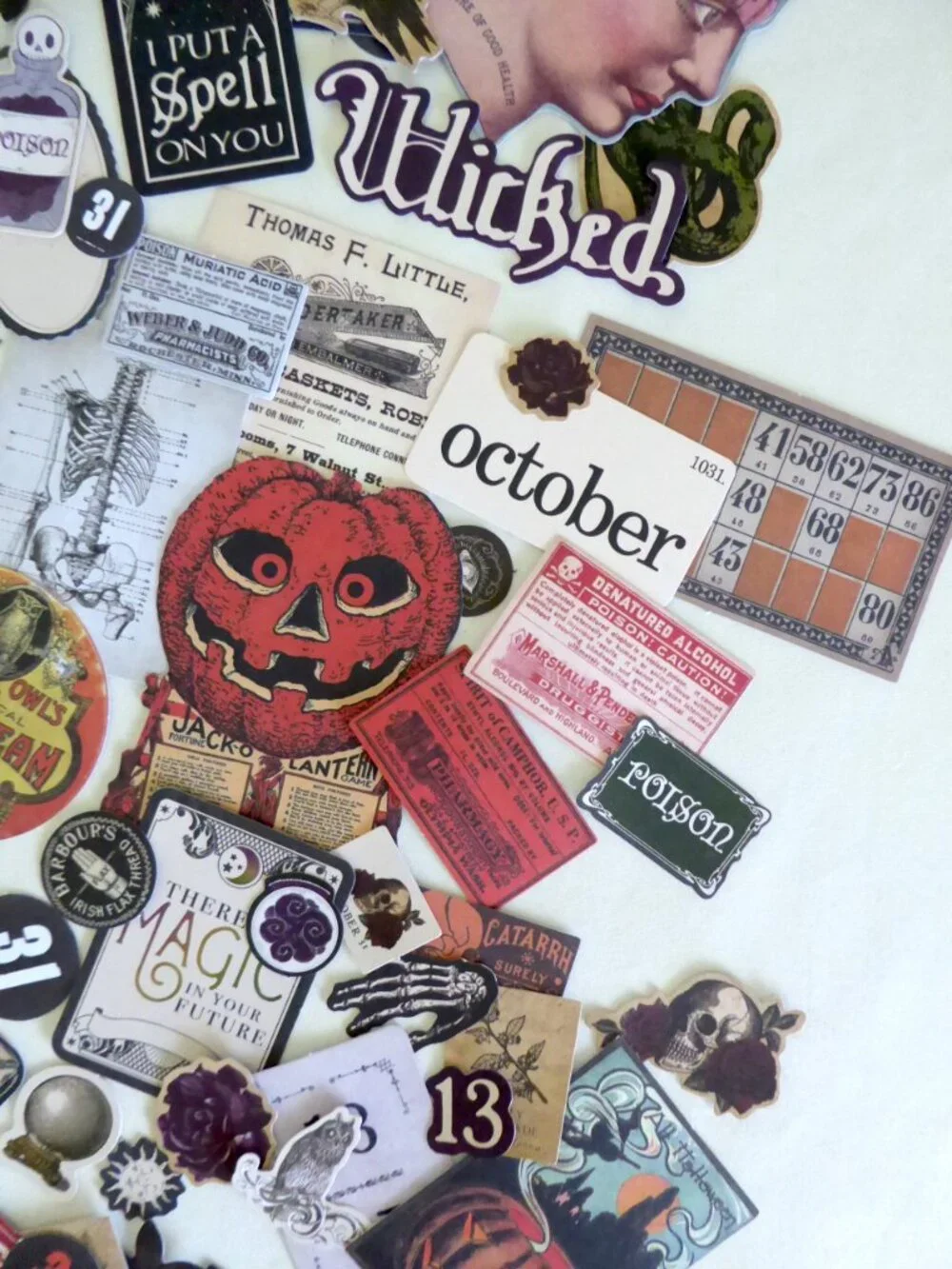 Tim Holtz new never
